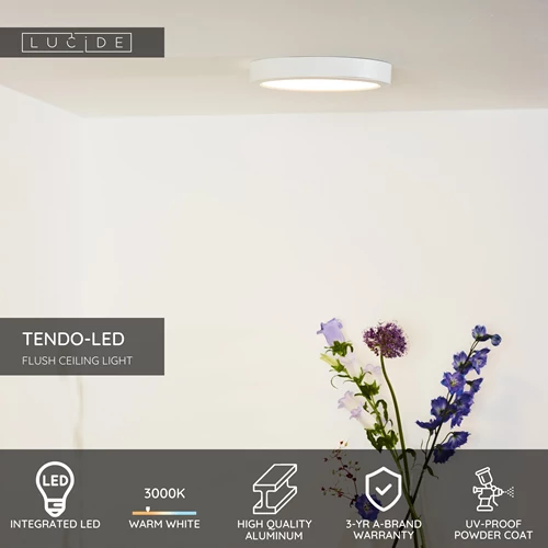 Lucide TENDO-LED - Flush ceiling light - Ø 22 cm - LED - 1x18W 3000K - White - USP